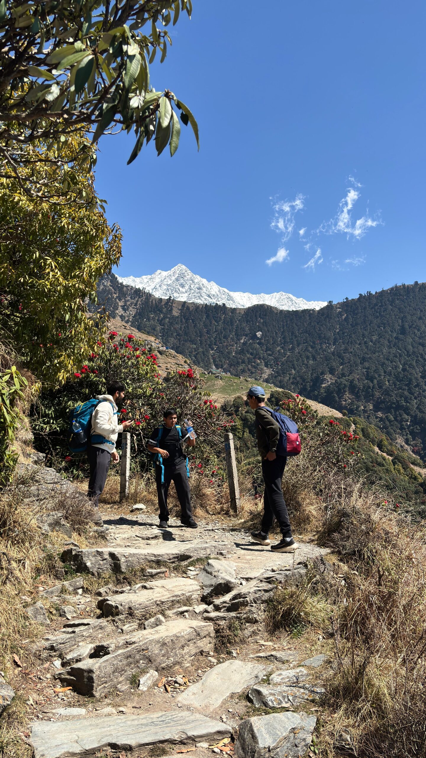 Triund Trek Trail